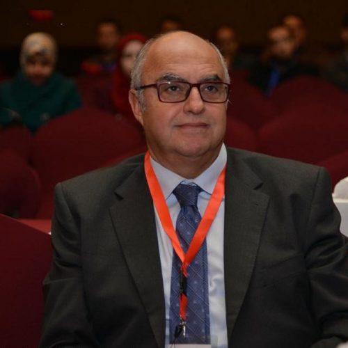 Prof. Dr. Yehia Salah ElDin MD